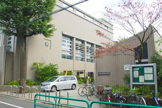 Primary school. 312m to Suginami Ward Momoi fifth elementary school