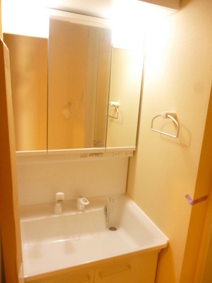 Washroom. Clean shampoo dresser in wide