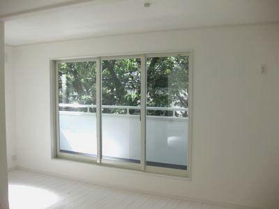 Other. Western-style enforcement example photo