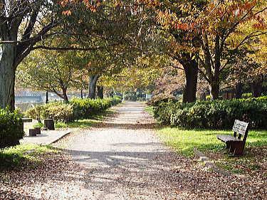 Other. Zenpukuji River parkland