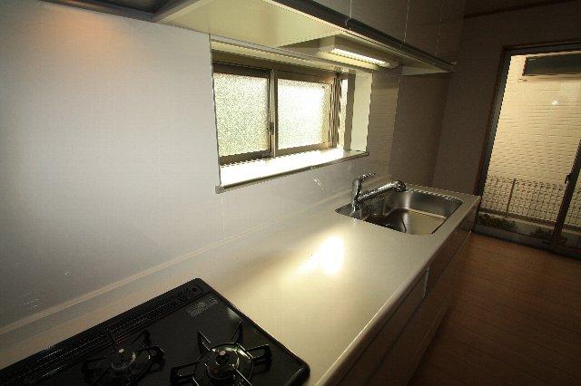 Kitchen. Indoor (12 May 2013) Shooting