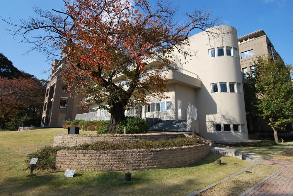 Local appearance photo. local