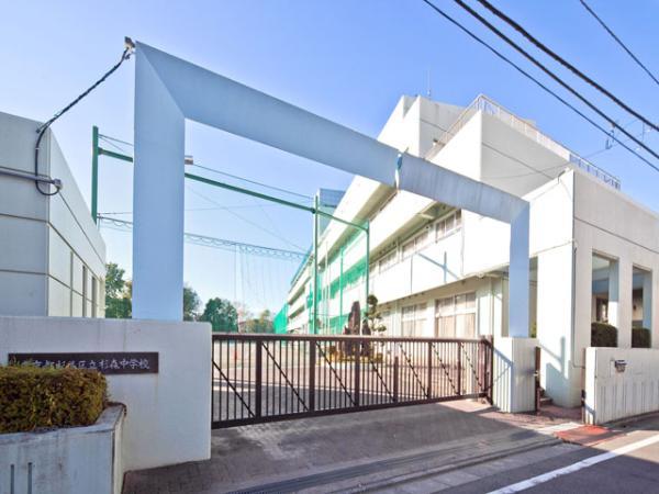 Junior high school. 310m to Suginami Ward Sugimori Junior High School 2011 / 11 / 25 shooting