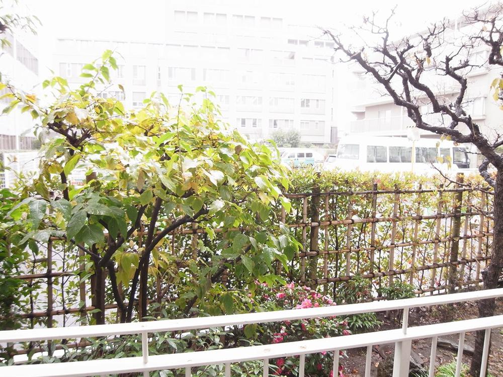 View photos from the dwelling unit