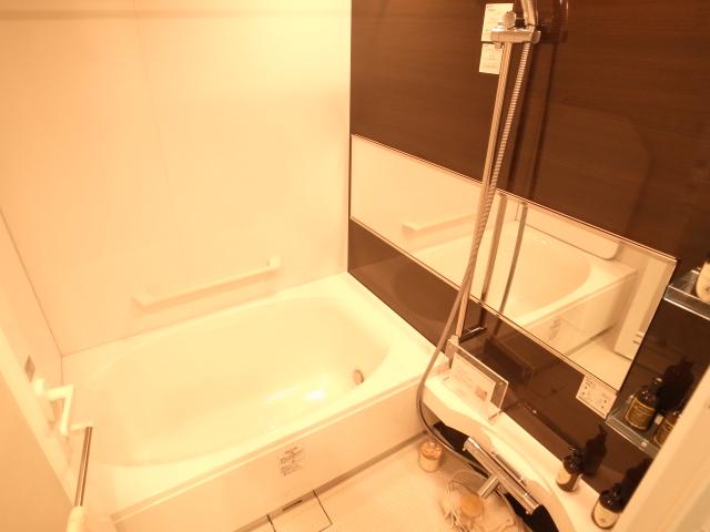 Bathroom. Indoor (11 May 2013) Shooting