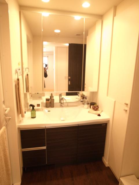 Wash basin, toilet. Indoor (11 May 2013) Shooting