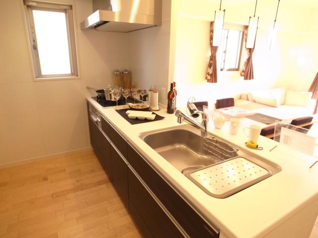 Kitchen. Indoor (11 May 2013) Shooting