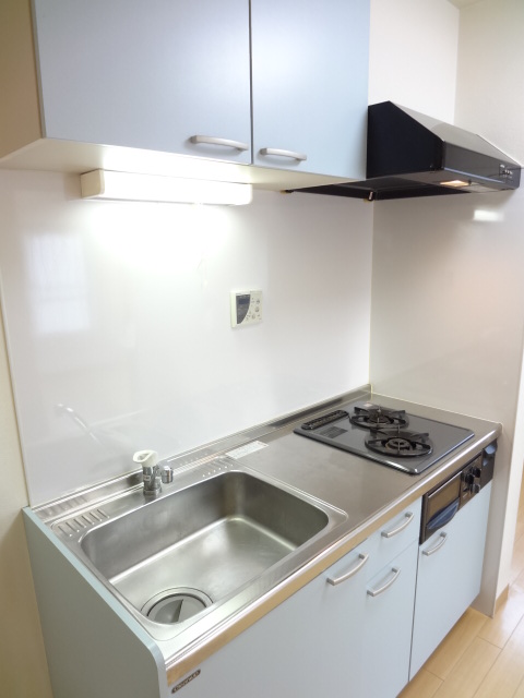 Kitchen. System kitchen with a gas stove 2-neck! 