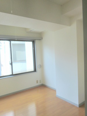 Other room space. Western style room