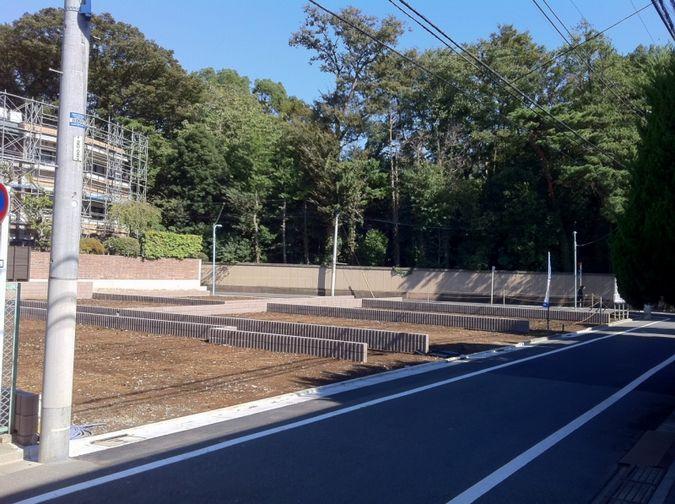 Other local. Local photo (2013 November shooting)