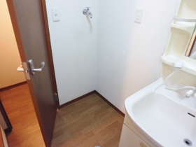 Other Equipment. Washing machine in the room