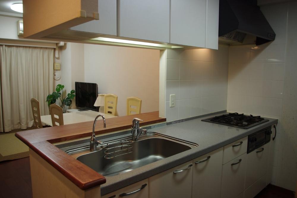 Kitchen. Indoor (11 May 2013) Shooting