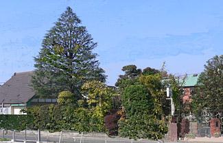 kindergarten ・ Nursery. Rush 773m to kindergarten