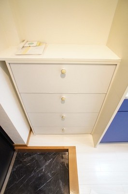 Other. Yes shoe box! 