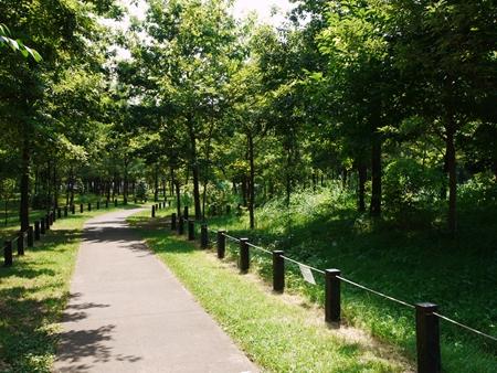 park. 963m to Kashiwa Palace park