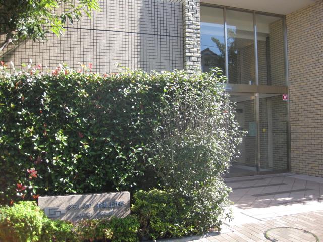 Entrance. Common areas