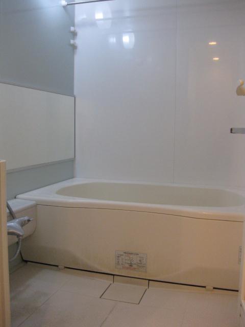 Bathroom. Indoor (10 May 2013) Shooting