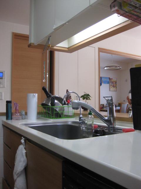 Kitchen. Indoor (10 May 2013) Shooting