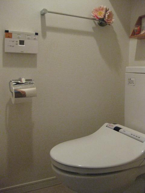 Toilet. Indoor (10 May 2013) Shooting