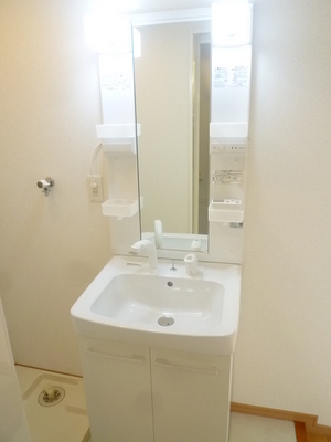 Washroom. Glad Shampoo dresser