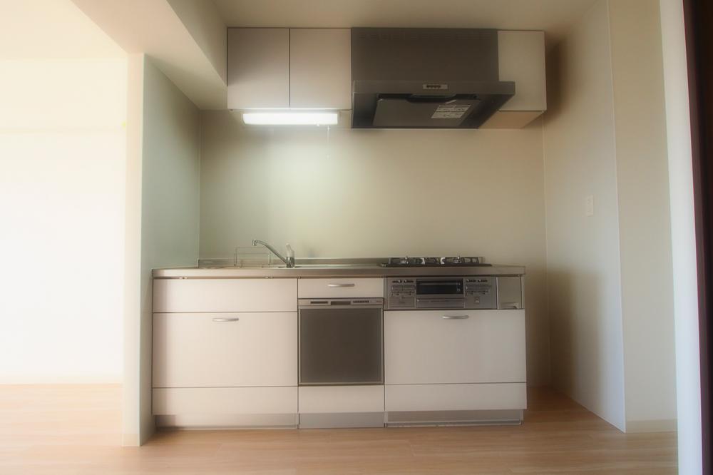 Kitchen. Indoor (11 May 2013) Shooting