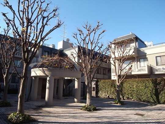 Local appearance photo