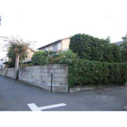 Local land photo. Local Photos