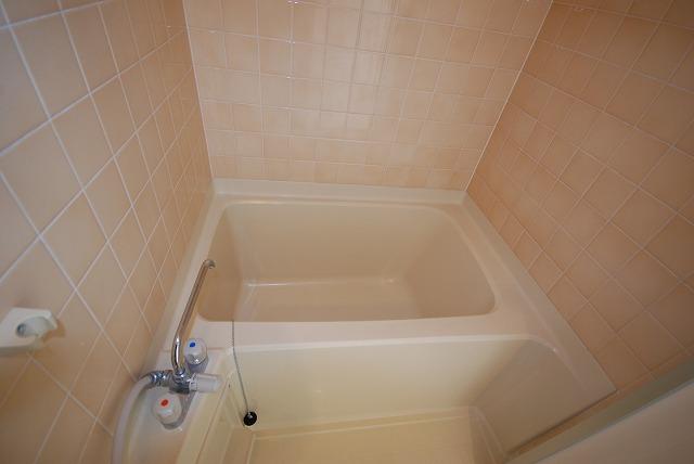 Bathroom. Indoor (12 May 2013) Shooting