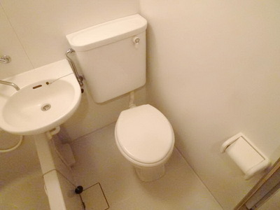 Toilet. Toilet