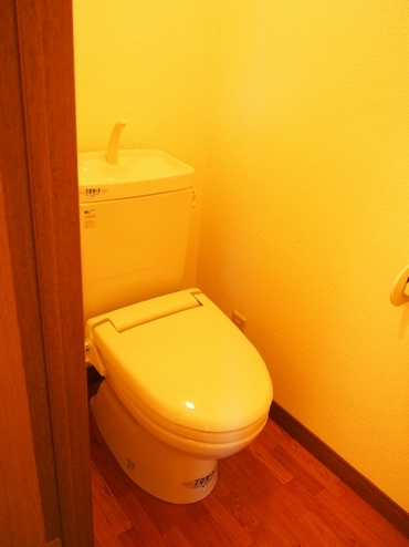 Toilet. It is a toilet with a warm toilet.