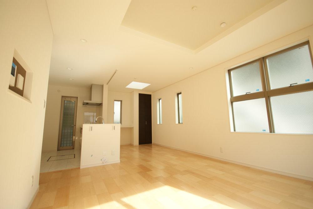 Same specifications photos (living). Easy-to-use form of spacious living (construction cases)