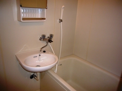 Bath. It is a large bathtub!