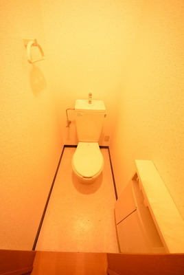 Toilet. Toilet