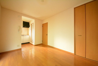 Other room space. Western style room