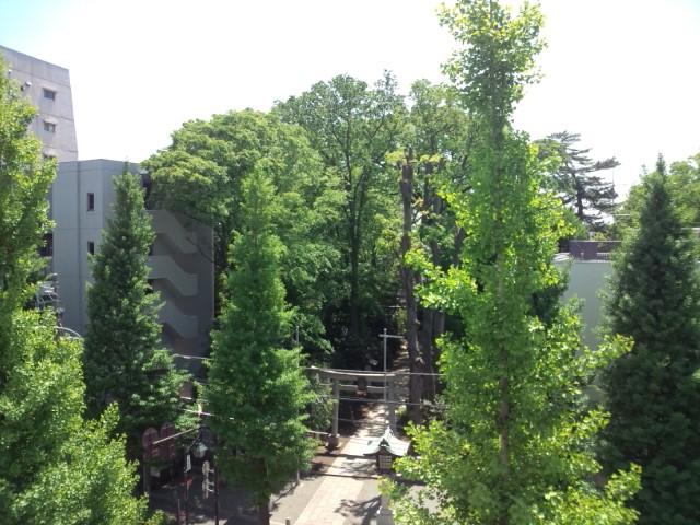 View photos from the dwelling unit. View from local (May 2013) Shooting