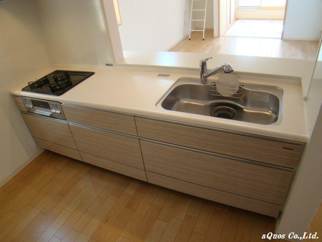 Kitchen. Indoor (11 May 2013) Shooting