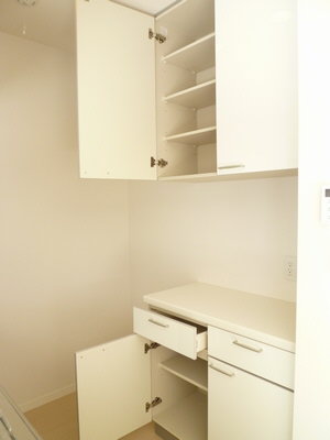 Kitchen. Separate type of counter-type kitchen storage.
