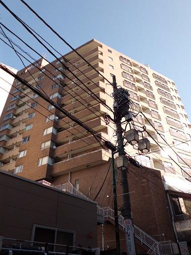 Local appearance photo. Local (January 2014) Shooting