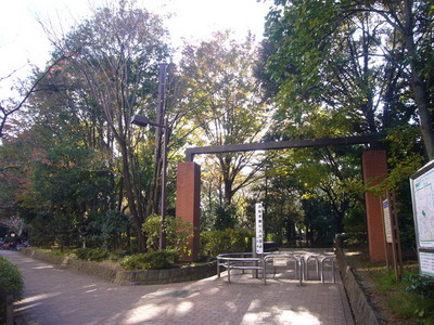 park. 170m to rush Forest Park (Park)