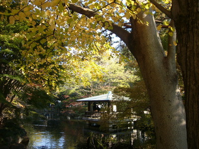 park. 170m to rush Forest Park (Park)