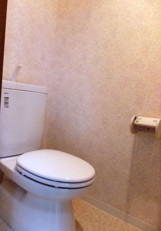 Toilet. Toilet (November 2013) Shooting