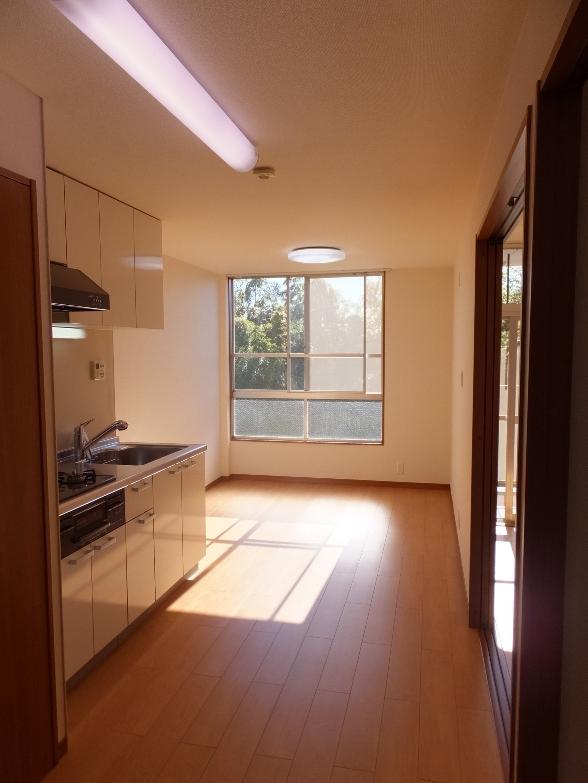 Other introspection. LDK (11 May 2013) Shooting