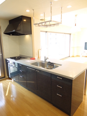 Kitchen. Face-to-face system Kitchen