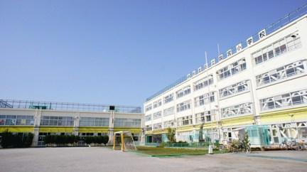 Primary school. 650m to Suginami Ward Shinomiya Elementary School