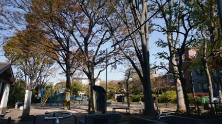 park. 390m up to municipal Shinomiya Forest Park