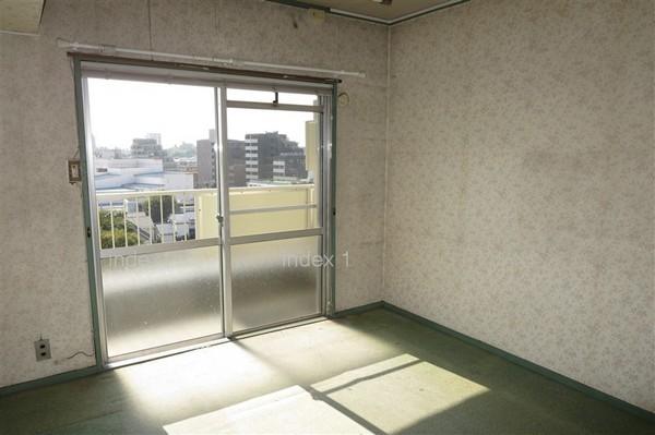 Non-living room. Western-style Komu pointing light from the south