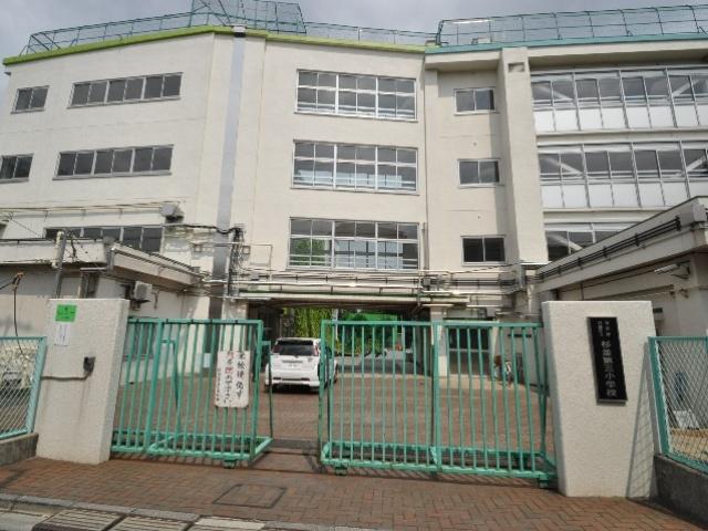 Primary school. 491m to Suginami third elementary school