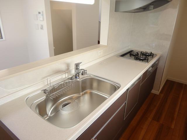 Kitchen. Indoor (11 May 2013) Shooting