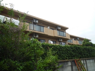 Building appearance. RC Mansion