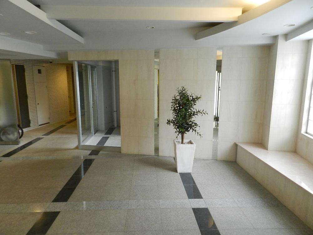 Entrance. Common areas